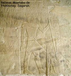 Relieve, mastaba de Ptahhotep