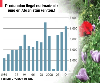 grafico 3